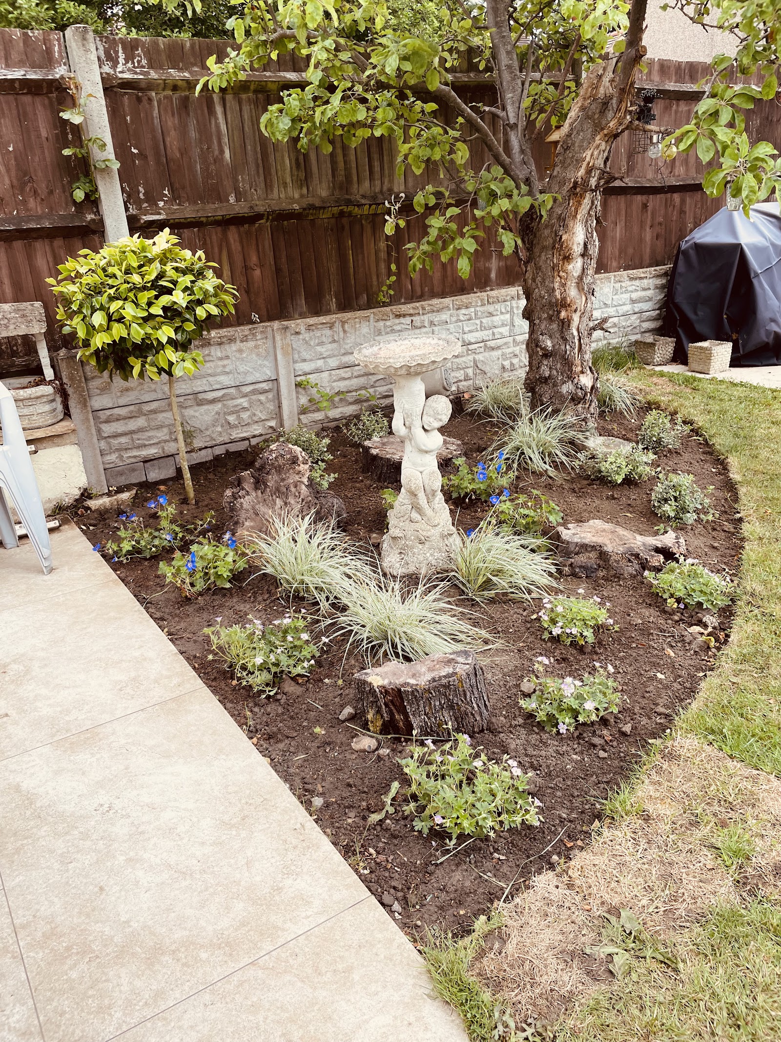 A shaded corner bed rebuilt around a mature tree and a stone figure, underplanted with grasses and low perennials for year-round texture.