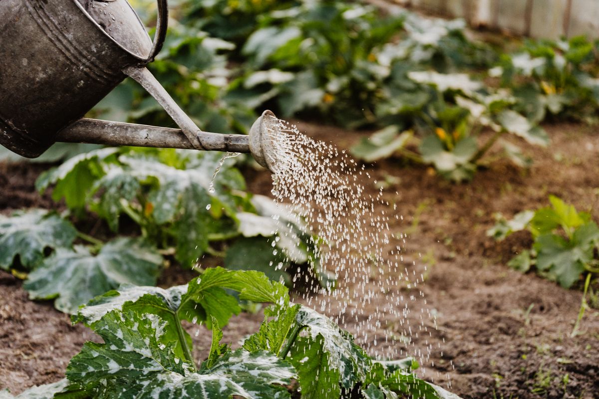 Seasonal Garden Maintenance